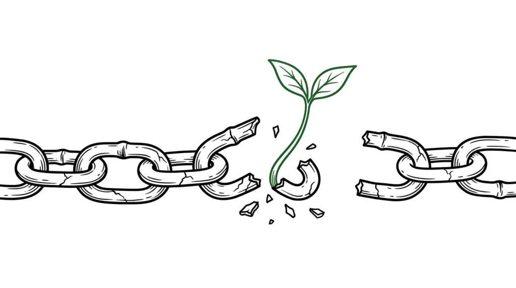 自己破産後のカードローン利用